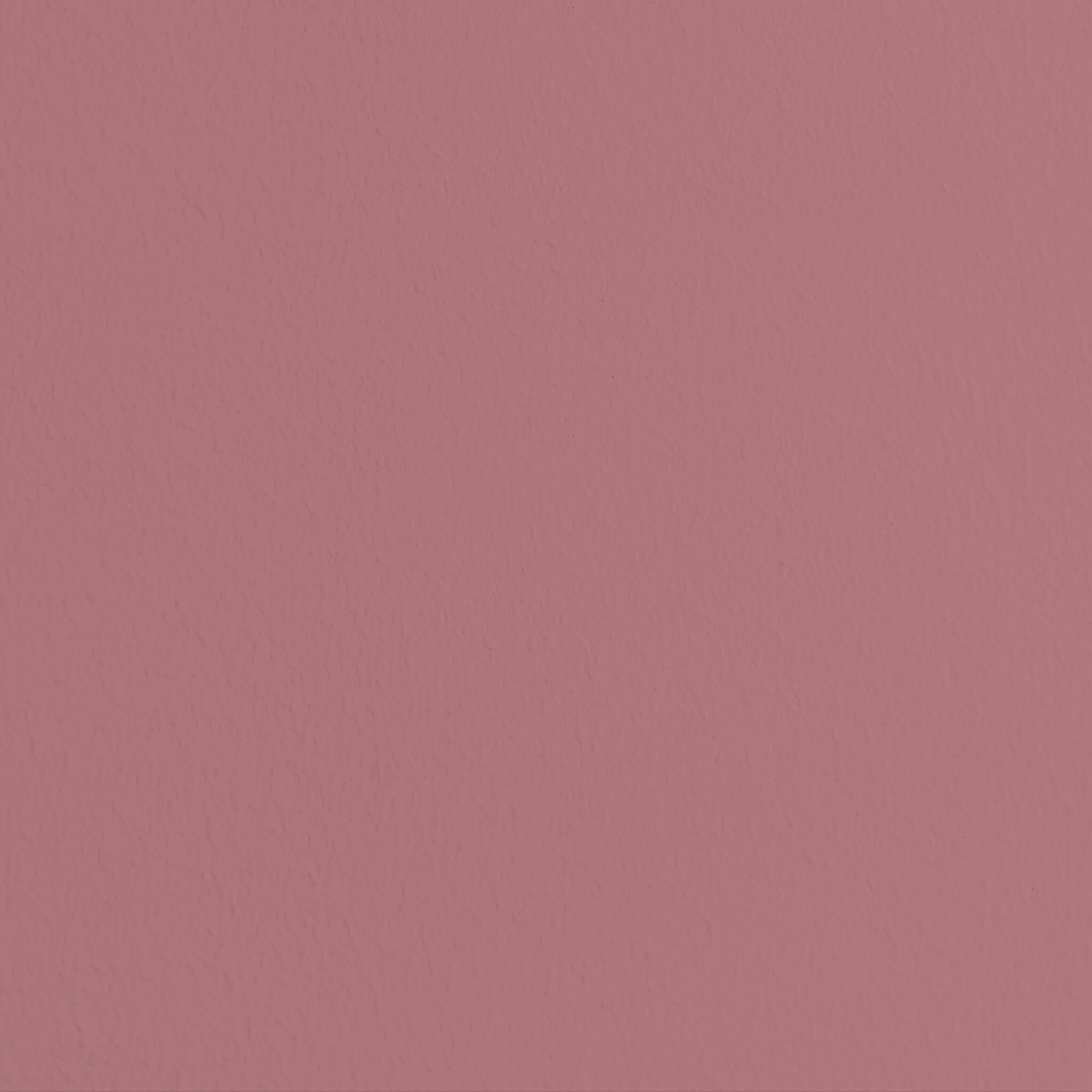 wall paint in pink & rose buy online