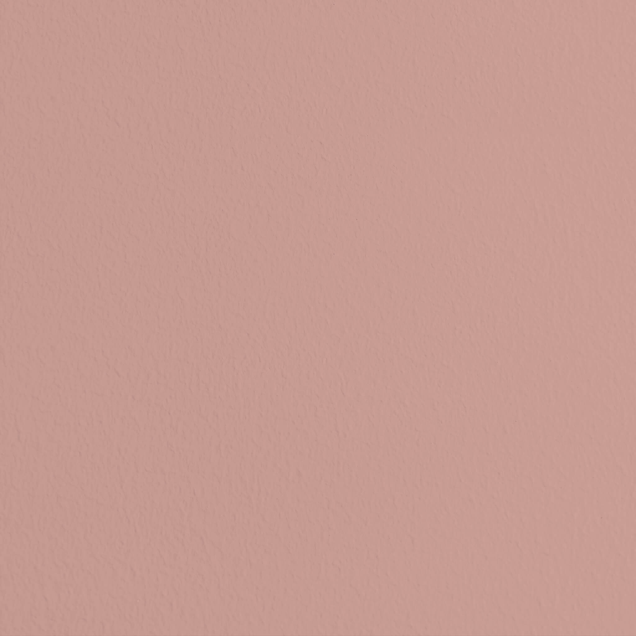 MissPompadour Rose with Brown - The Functional Wall Paint 1L